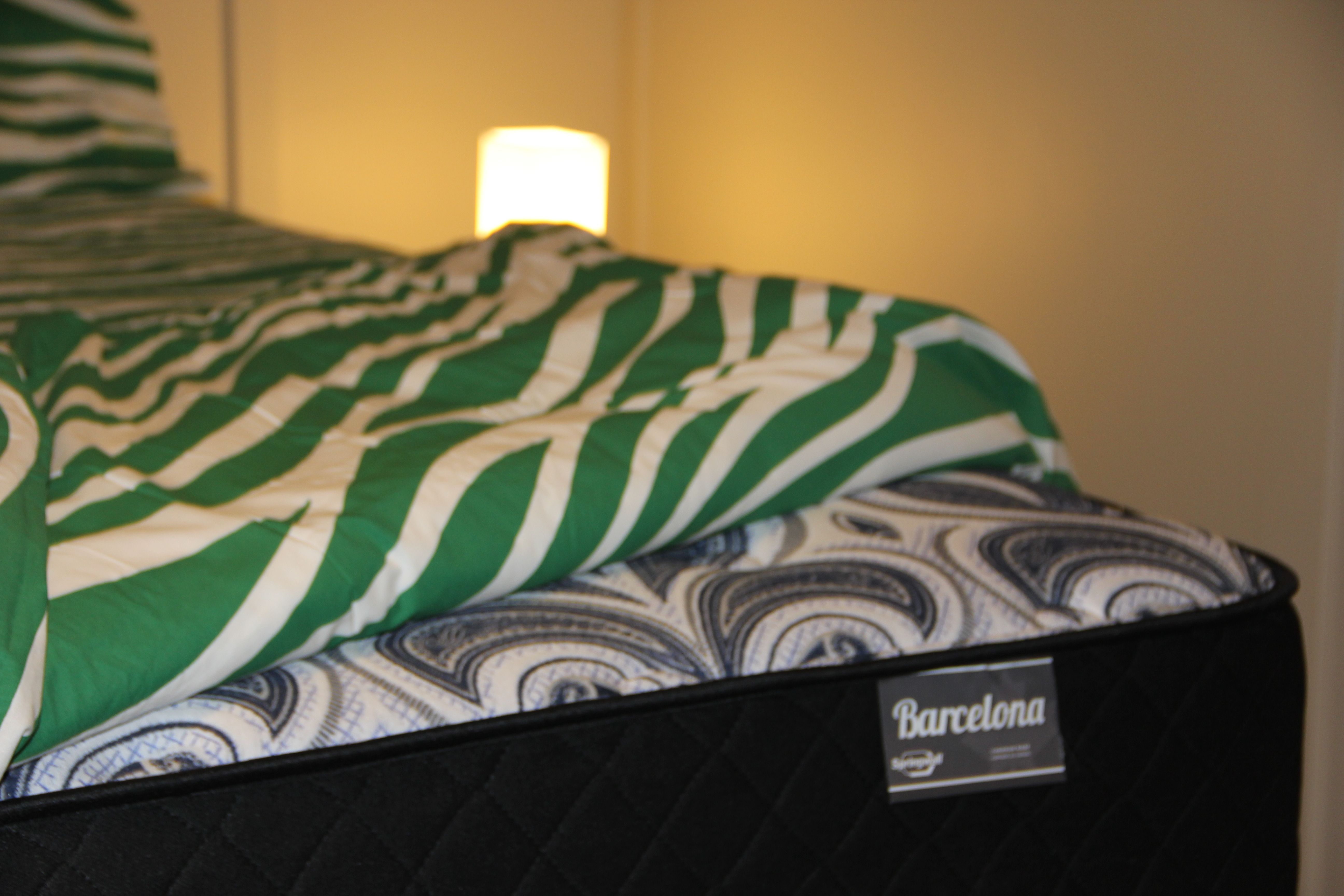 Private Room 5 for Rent in Burquitlam with High-Speed Internet